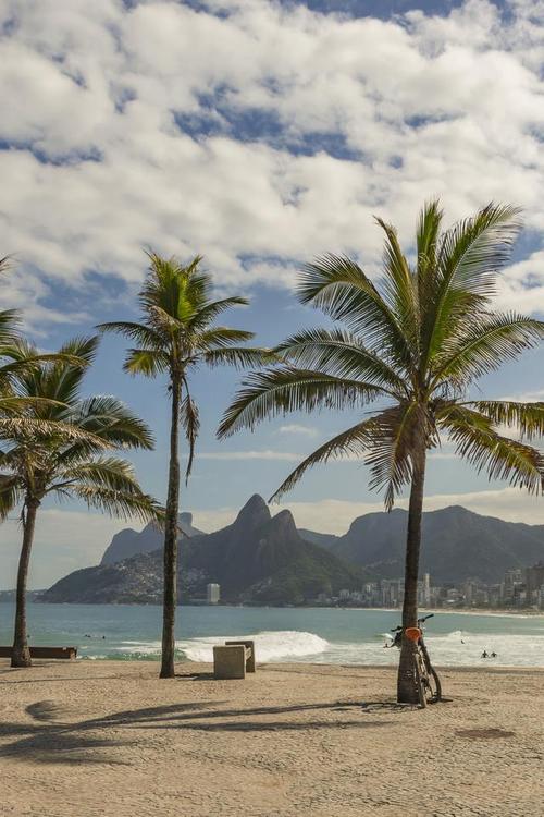 resultado-jogo-do-bicho-bahia-ontem - Tendências de apostas no Brasil