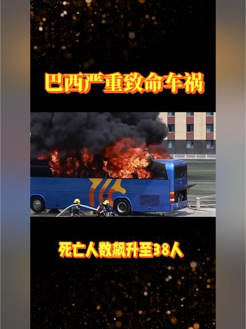 jogo-do-bicho-galo - Cassinos e iGaming no Brasil